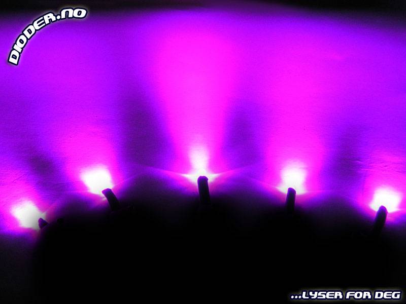5 stk 24V 3mm XLaserleds til utvendig